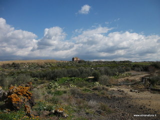 Salinelle_del_Fiume - 17-02-2013 11-33-23.JPG